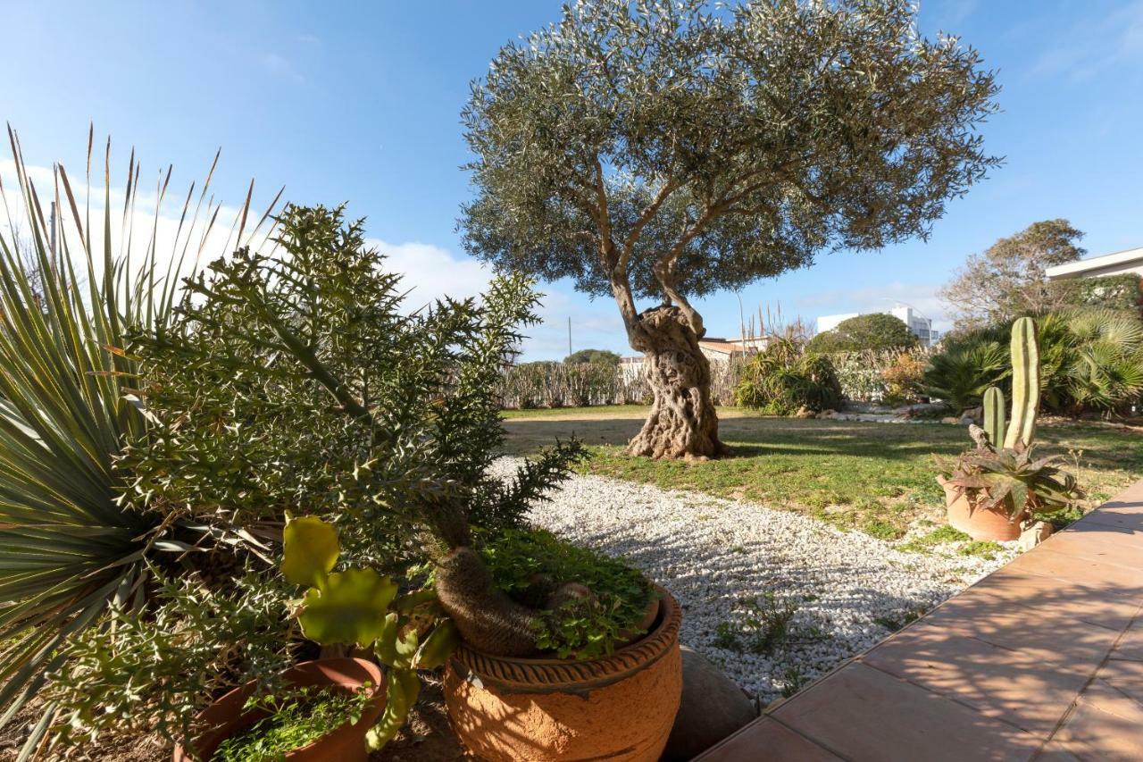 Villa Arrecifes フェルティリア エクステリア 写真